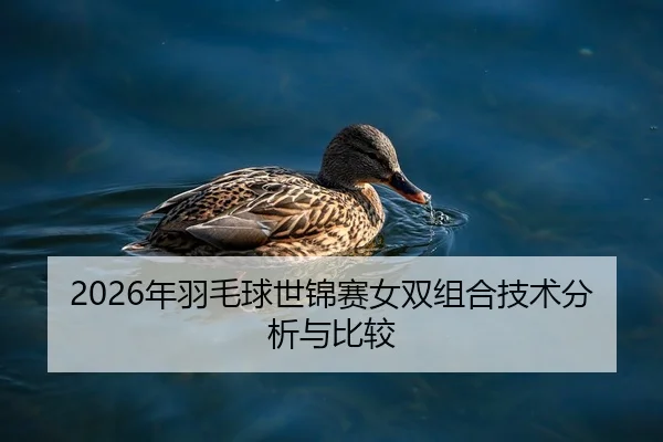 2026年羽毛球世锦赛女双组合技术分析与比较
